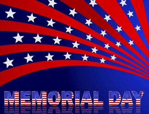 Memorial Day Flowers and Plants