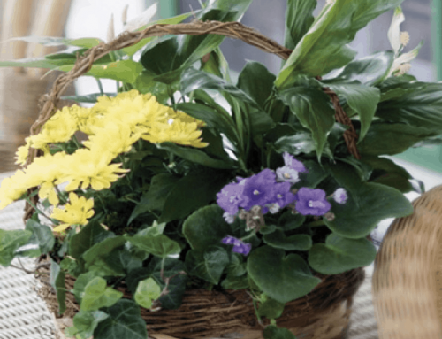 Bussey’s Gift Ideas for Boss’s Day on October 16th