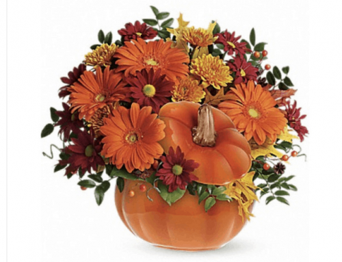 Add Halloween Festive Decor to Your Home!