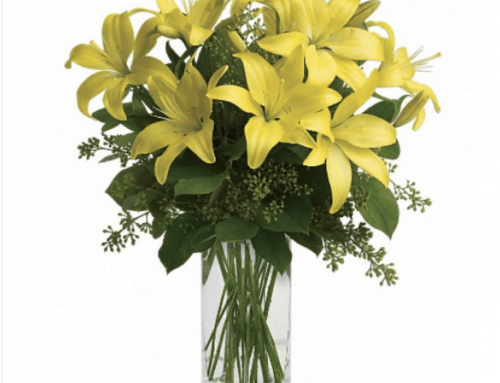 Step Into Spring with Bussey’s Florist