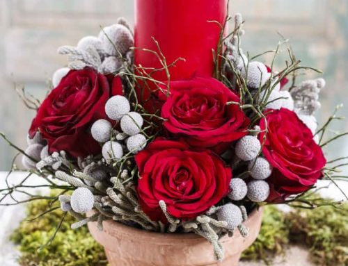 Your home will be so festive and fresh this Thanksgiving and holiday season with flowers and gifts from Bussey’s Florist