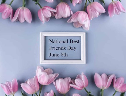 Fresh and Beautiful National Best Friends Day Flowers are Ready at Bussey’s Florist
