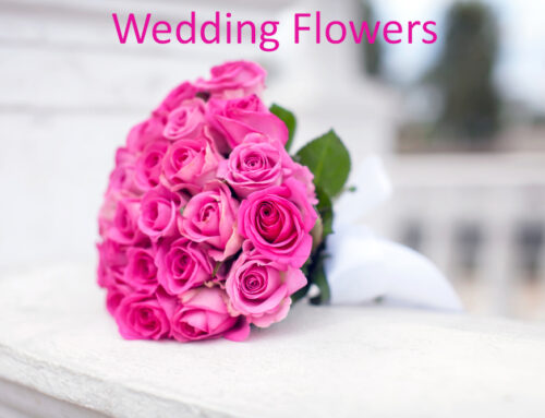 Visit Bussey’s Florist Early in The Process When You are Planning for Wedding Flowers