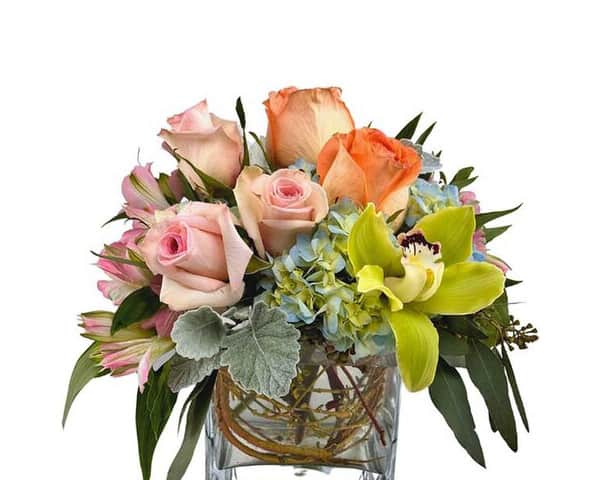 New Baby Floral Gifts Same Day Hospital Flower Delivery Bussey's Florist