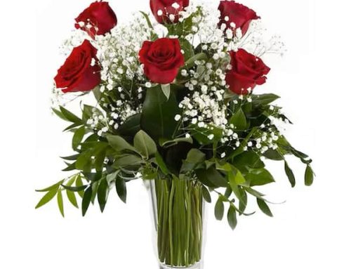 Shop Here to Purchase Our Romantic Roses and Valentine’s Gifts!
