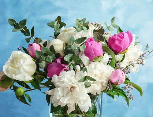 Get-Well Flowers Symbolize Bright and Cheerful Wishes