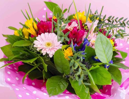 Spring Flowers and Plants Create a Refreshing and Seasonal Atmosphere in Any Church Setting