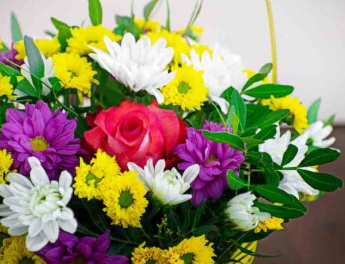 Thank You Flowers Convey Gratitude and Appreciation