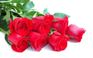 Valentine's Day Flowers BusseysFlorist