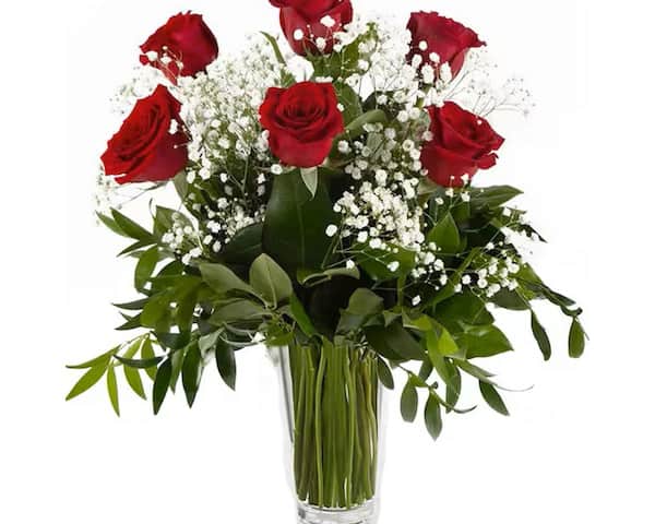 Shop Here to Purchase Our Romantic Roses and Valentine’s Gifts!