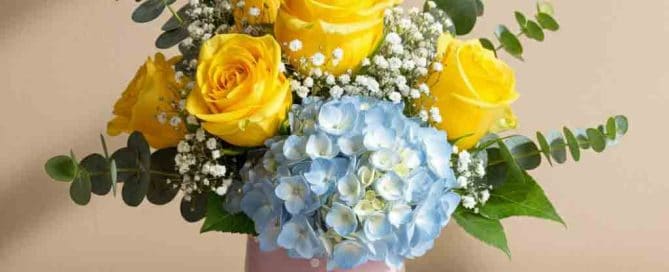New Baby Flowers with Yellow Roses and Blue Hydrangea