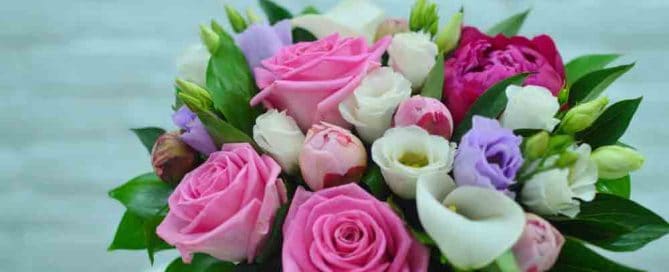 Birthday Flowers