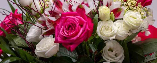 beautiful florist bouquet of roses and freesias