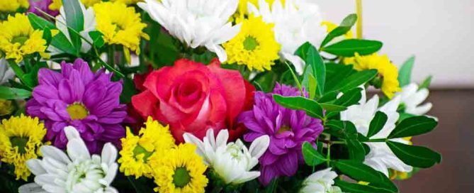 Thank You Mixed Flowers